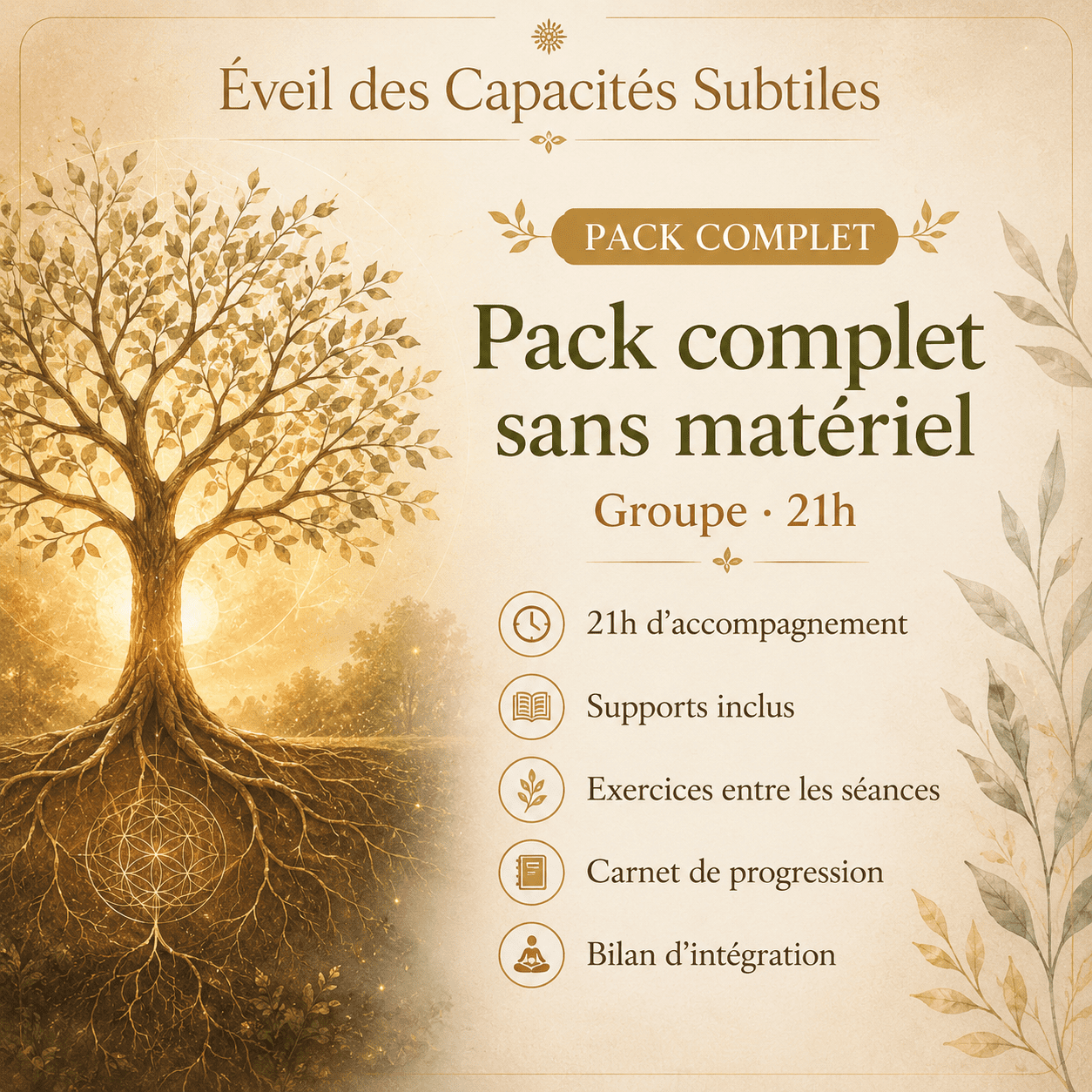 Pack complet sans matériel ( prêt ) Parcours Base Subtile Groupe · 21h