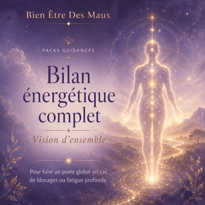 Bilan énergétique complet - Approfondi
