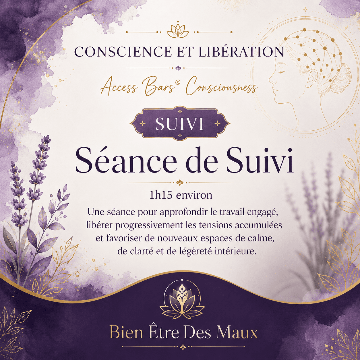 Access Bars®  - Séance de Suivi